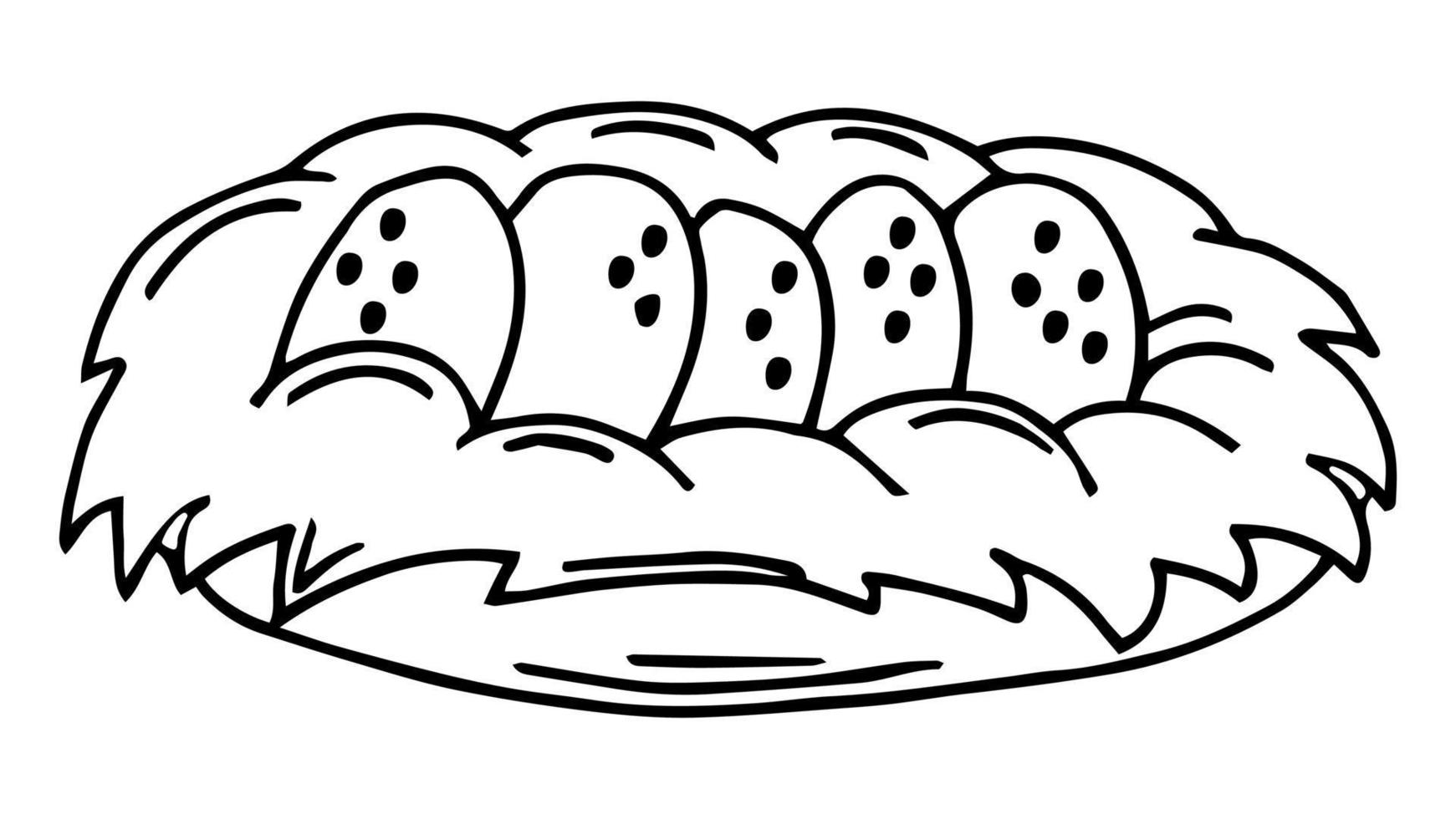 Eggs in the nest in sketch style isolated on white background vector