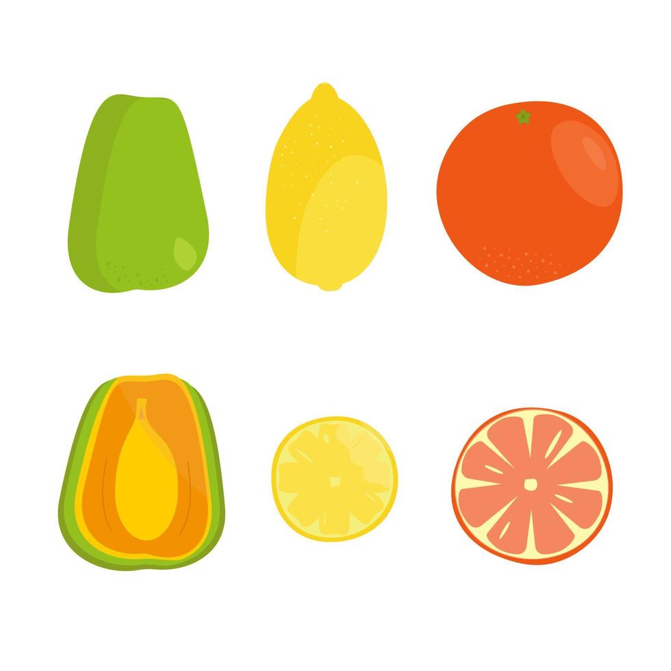 conjunto de frutas exóticas brillantes enteras y cortadas en vector sobre un fondo blanco. frutos de naranja, mandarina y papaya
