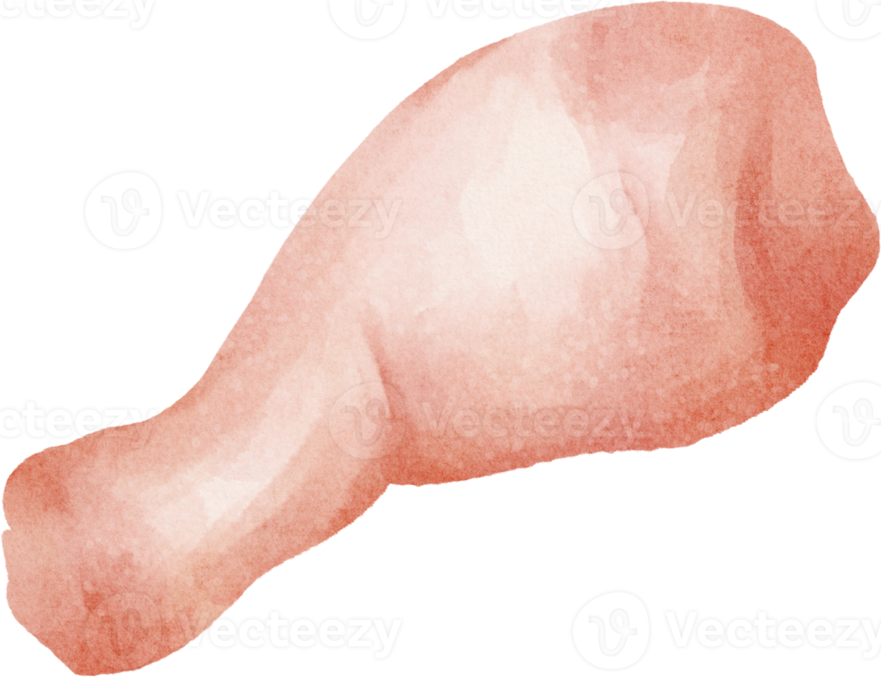 watercolor chicken meat png