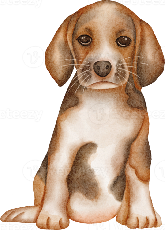 clipart de cachorro em aquarela png