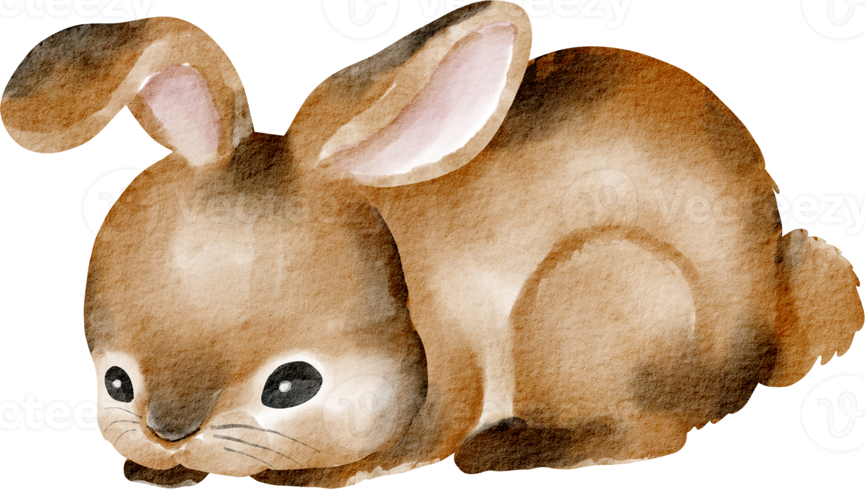 lapin mignon aquarelle png