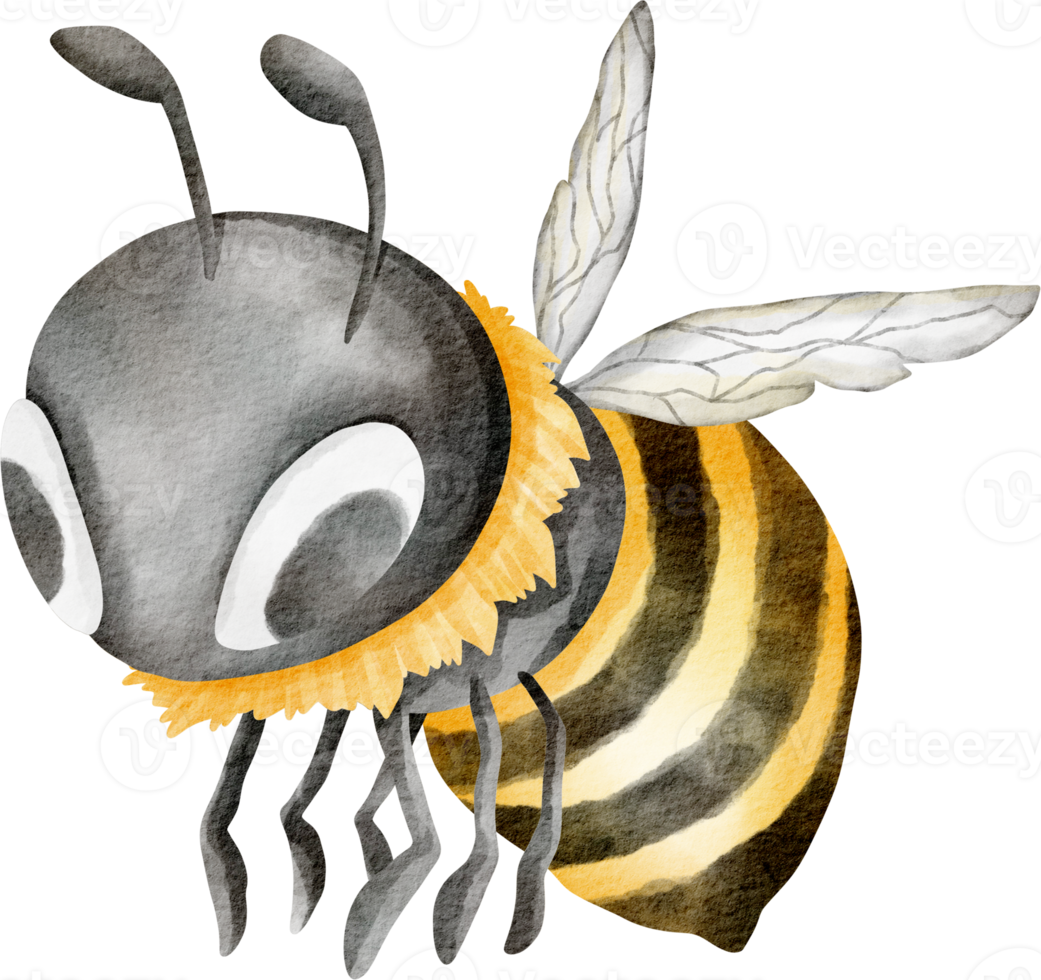 elemento de granja de abejas acuarela png