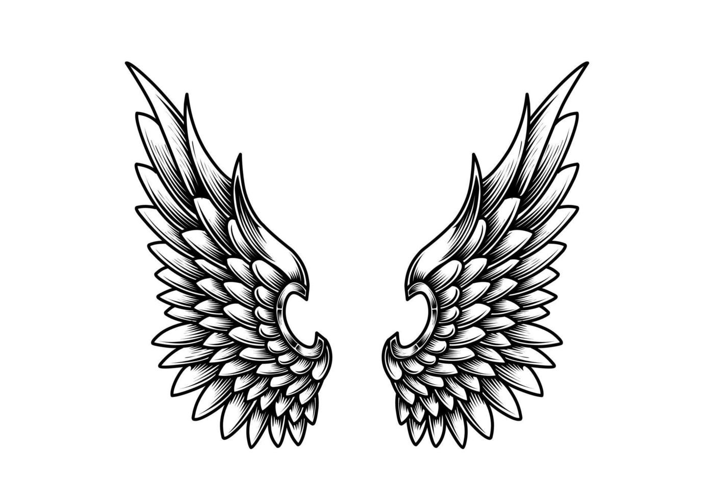 Free vector angel wings line art and outline