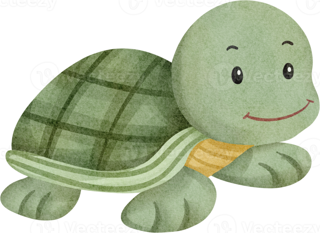 turtle cute watercolor png