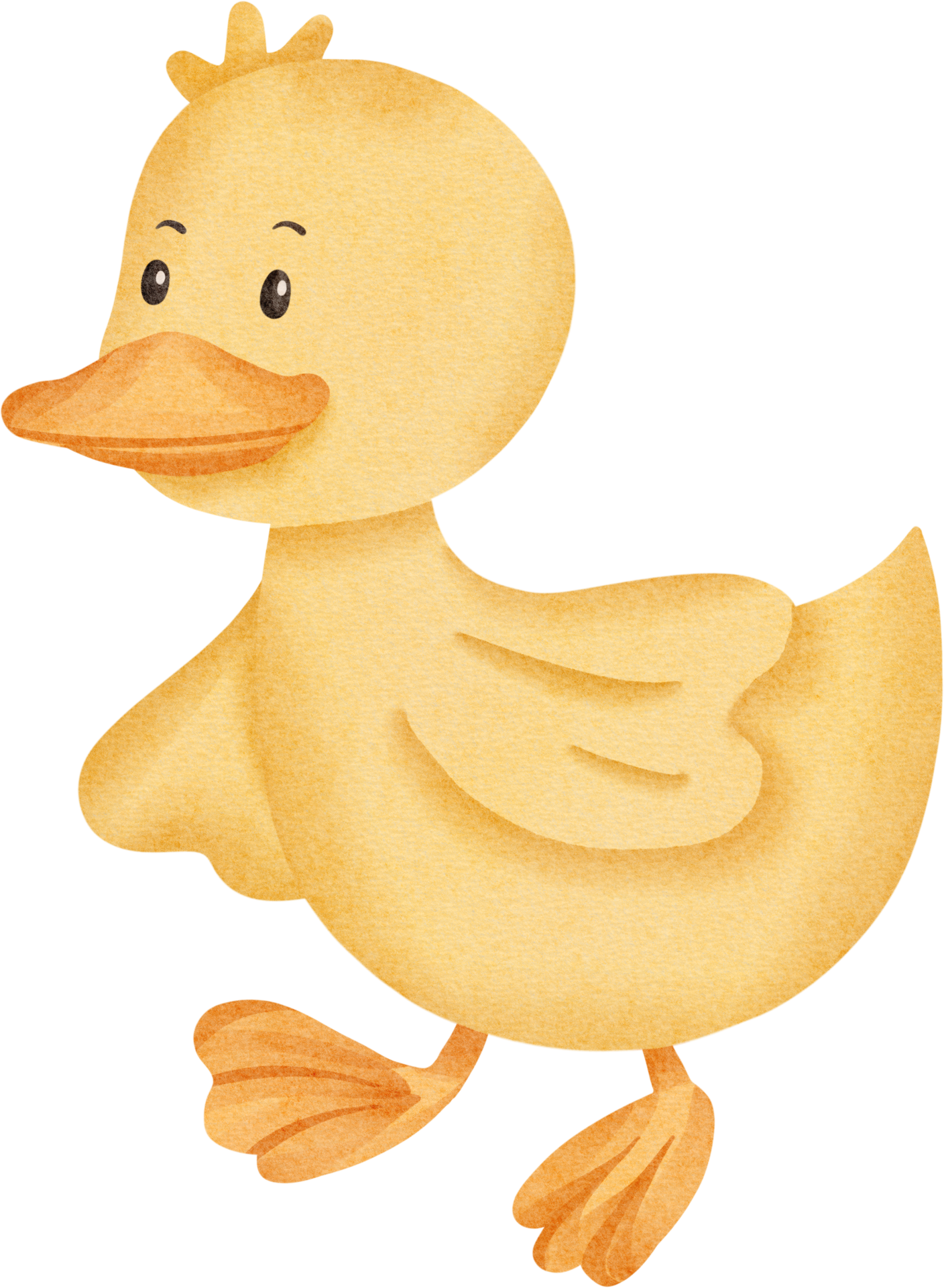 Free lindo pato acuarela 16547958 PNG with Transparent Background