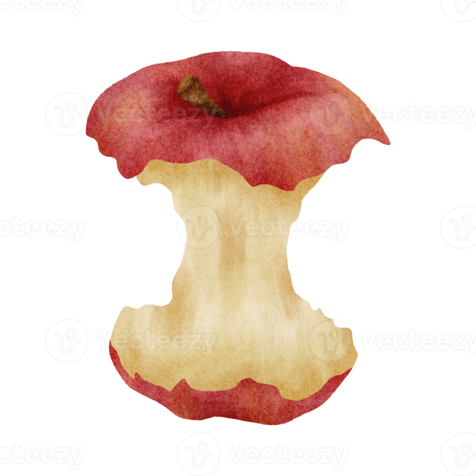 watercolor bitten apple apple png