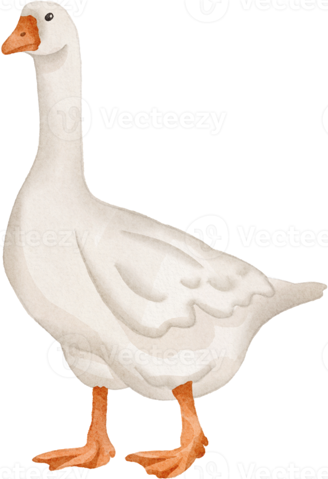 waterverf gans klem kunst png