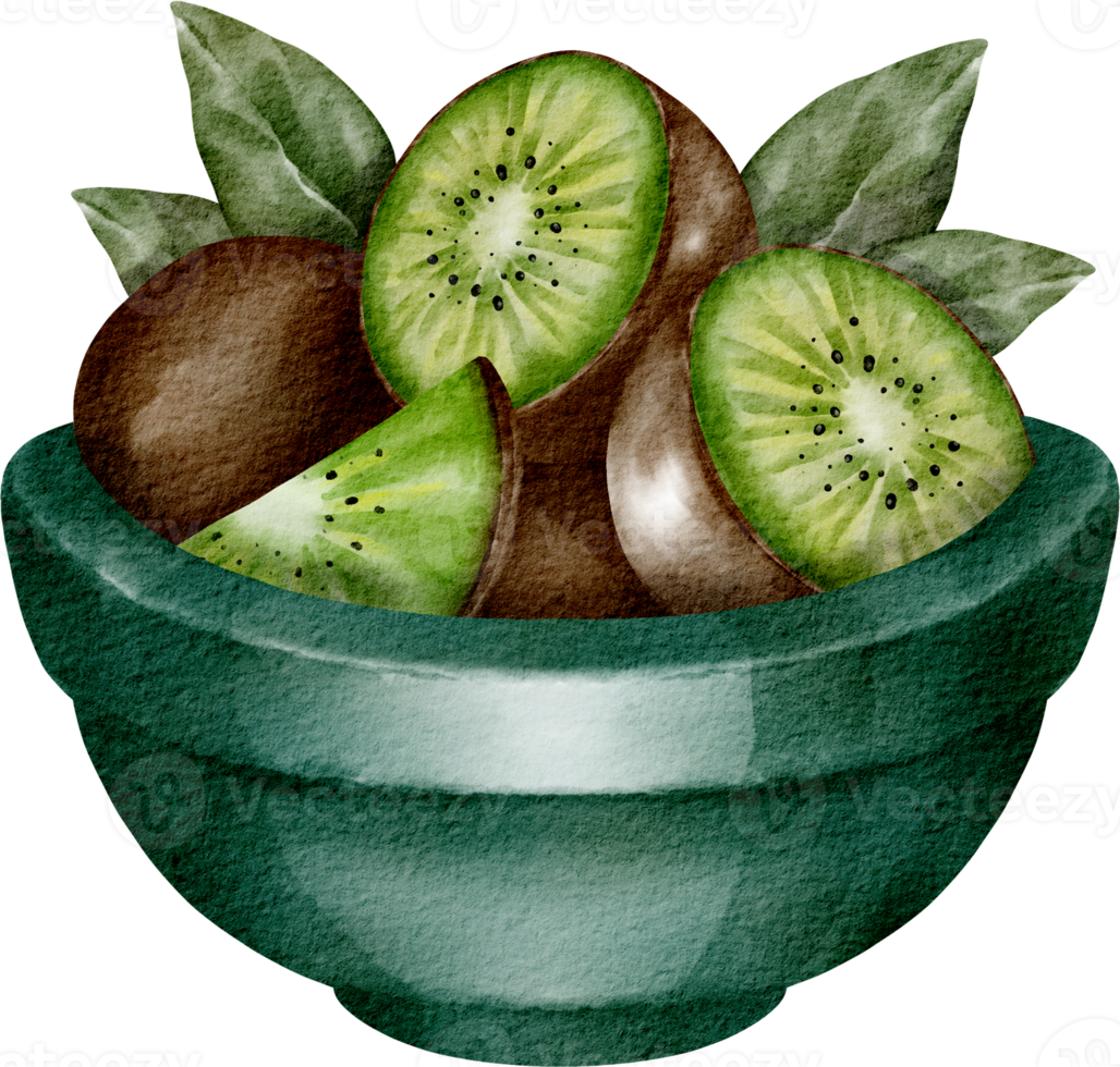 vattenfärg kiwi frukt element png