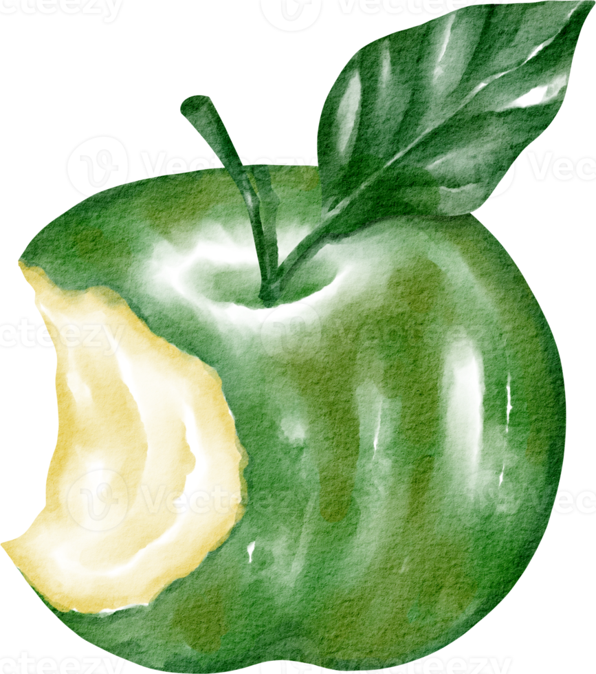 watercolor green apple png