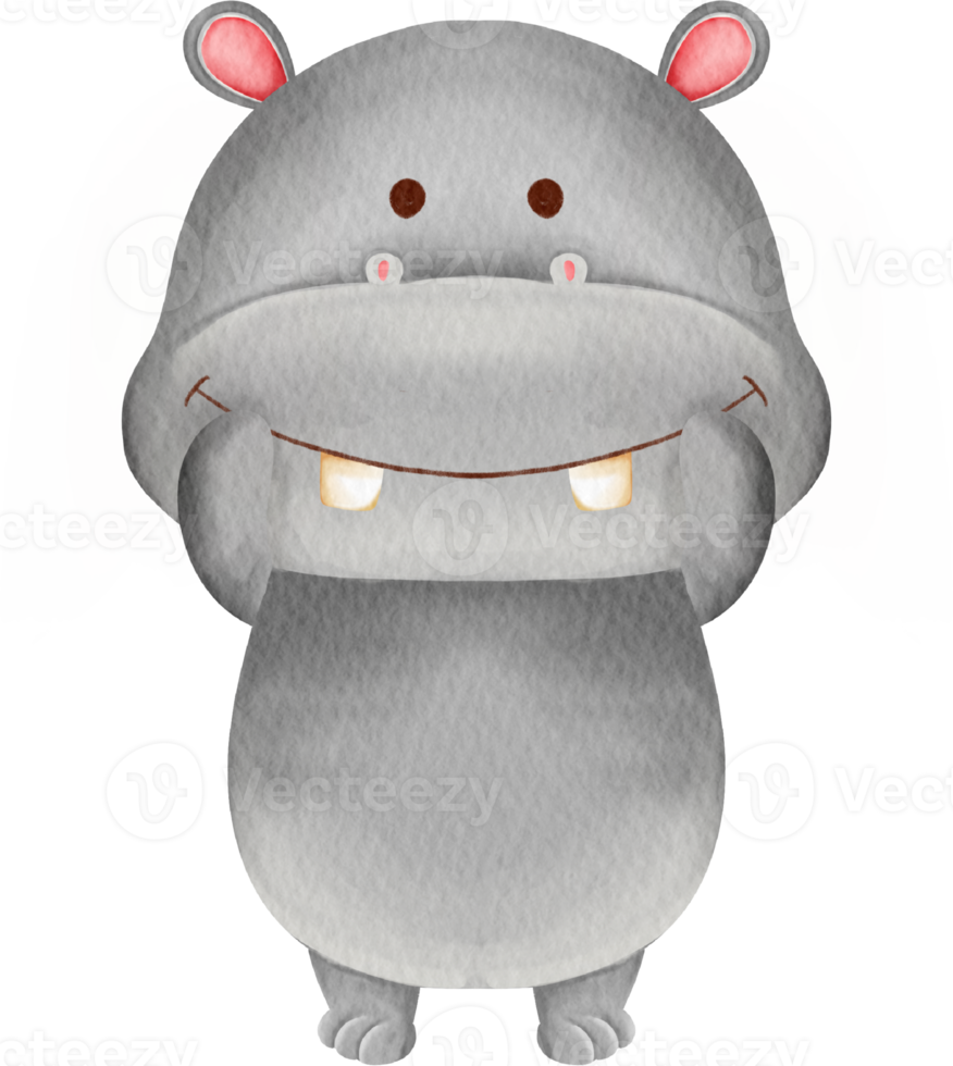 acquerello ippopotamo carino cartone animato png