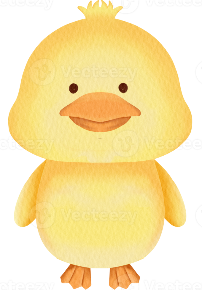 watercolor duck clip art png