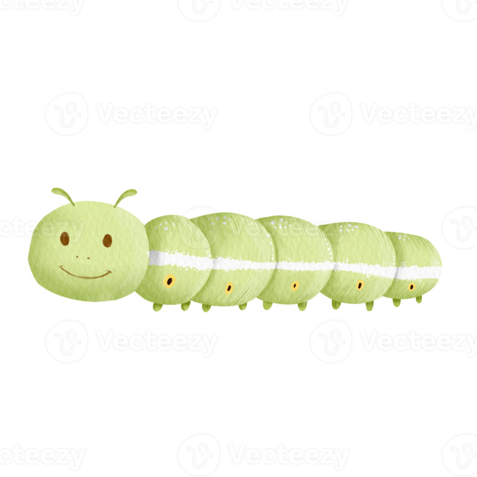 watercolor worm insect png