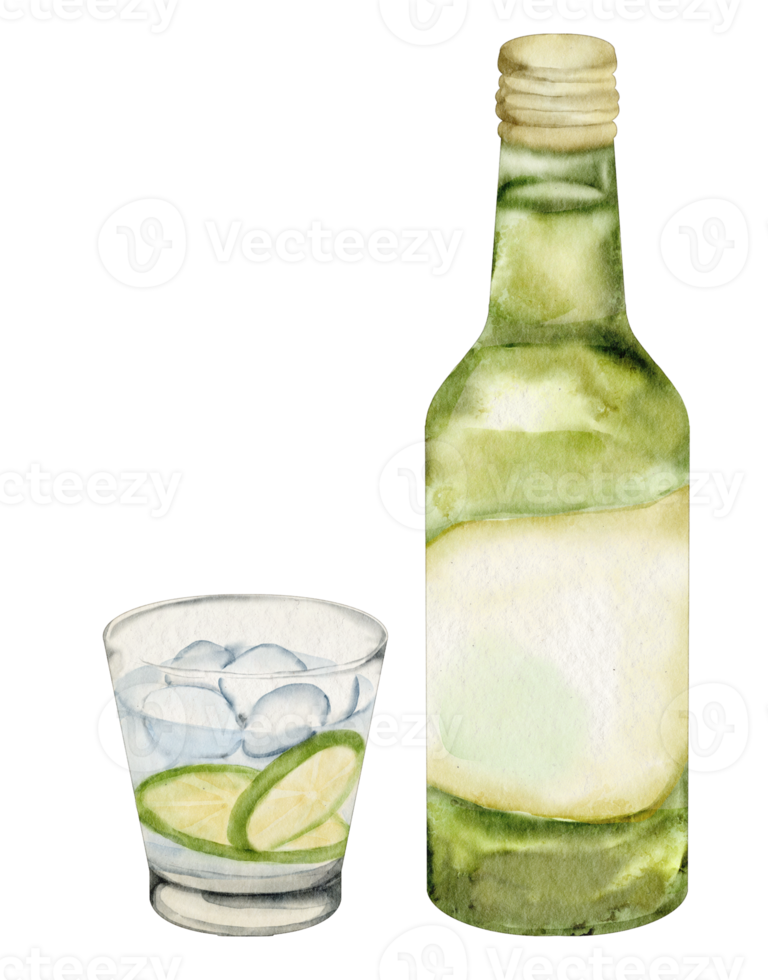 soju Korean food watercolor png