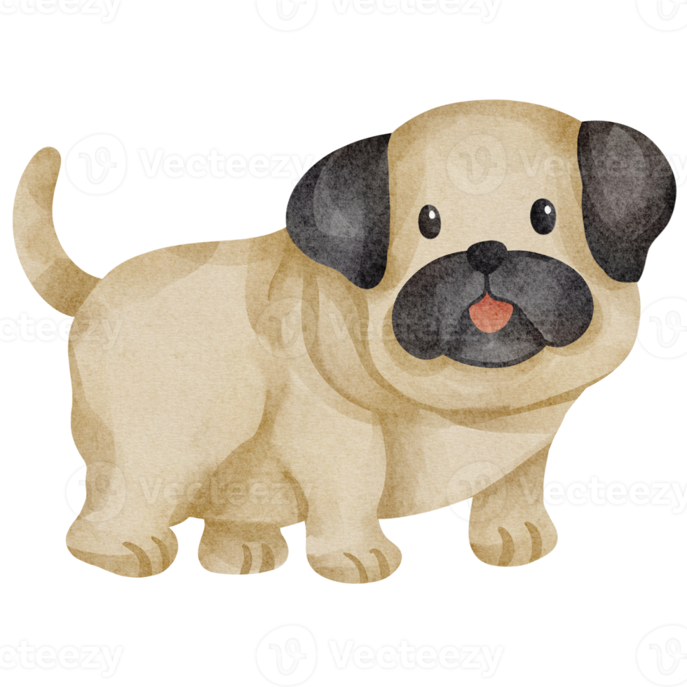 waterverf puppy hond png