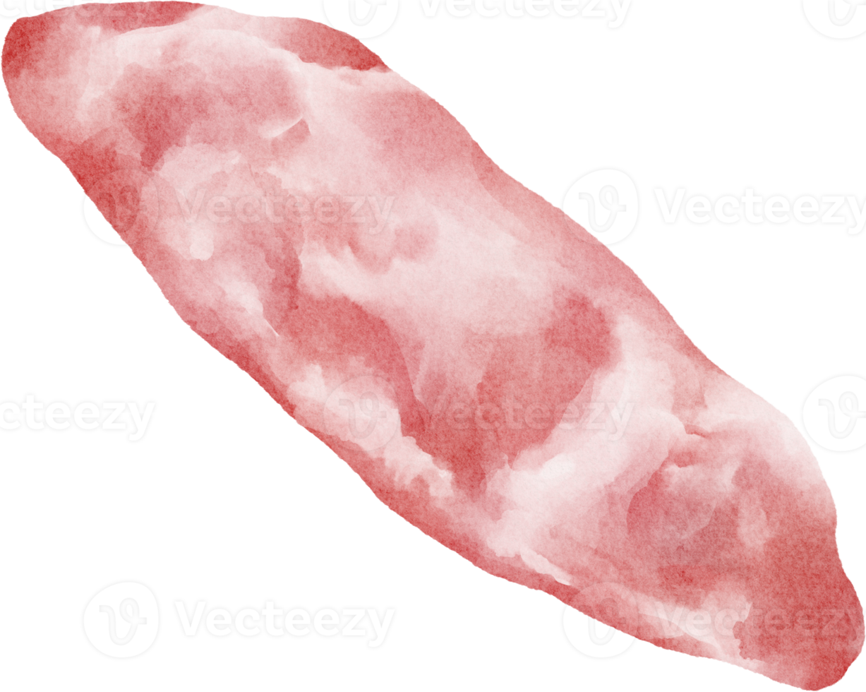 watercolor meat pork png