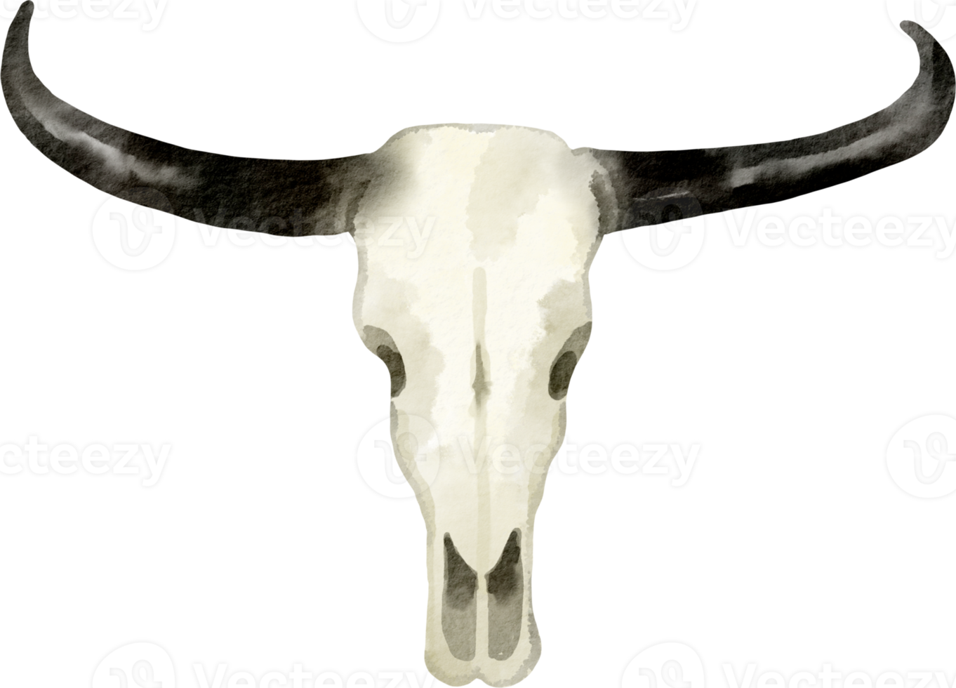 watercolor bull skull png