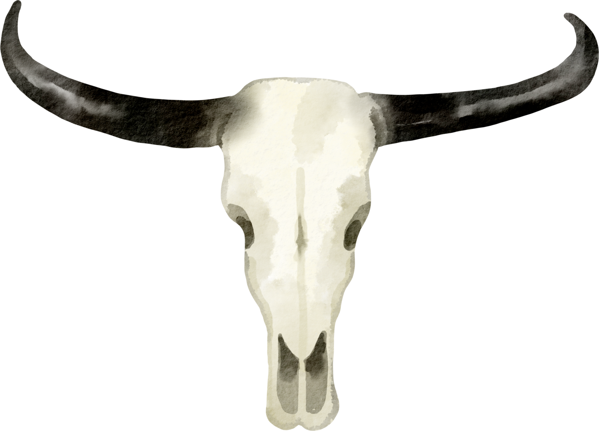 watercolor-bull-skull-16548061-png