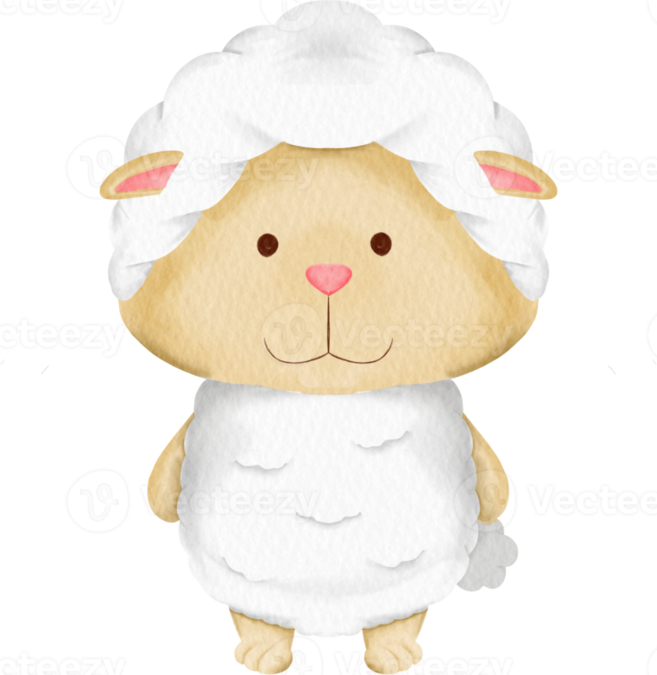 watercolor cute sheep png