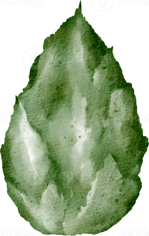 watercolor green bush png
