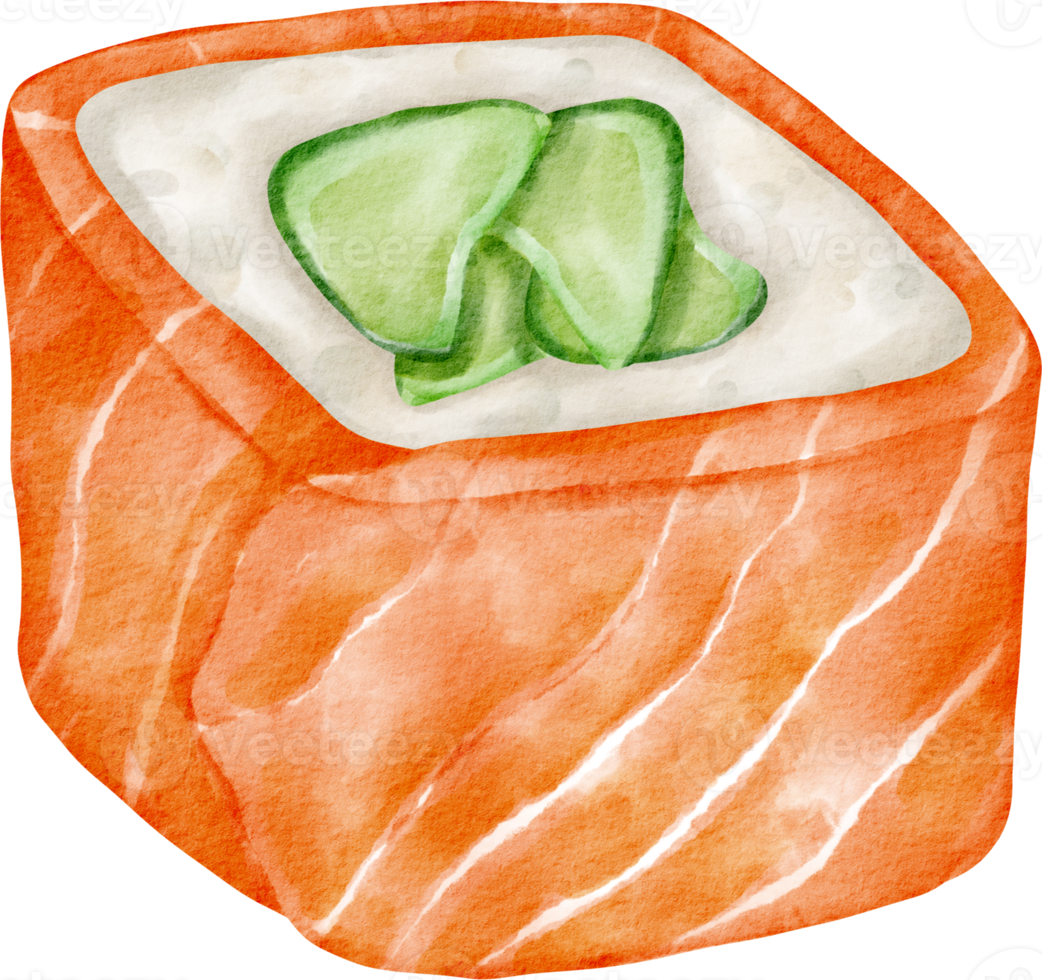 watercolor salmon roll sushi png