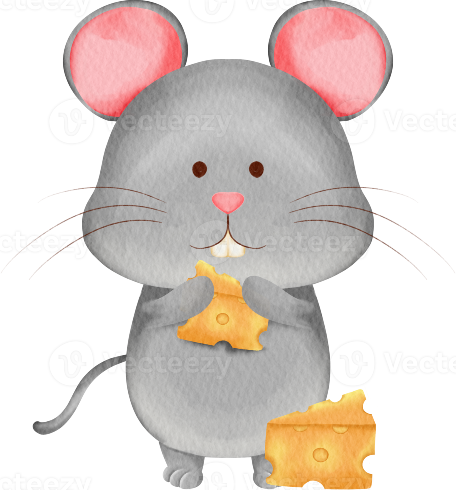 acquerello ratto carino cartone animato png