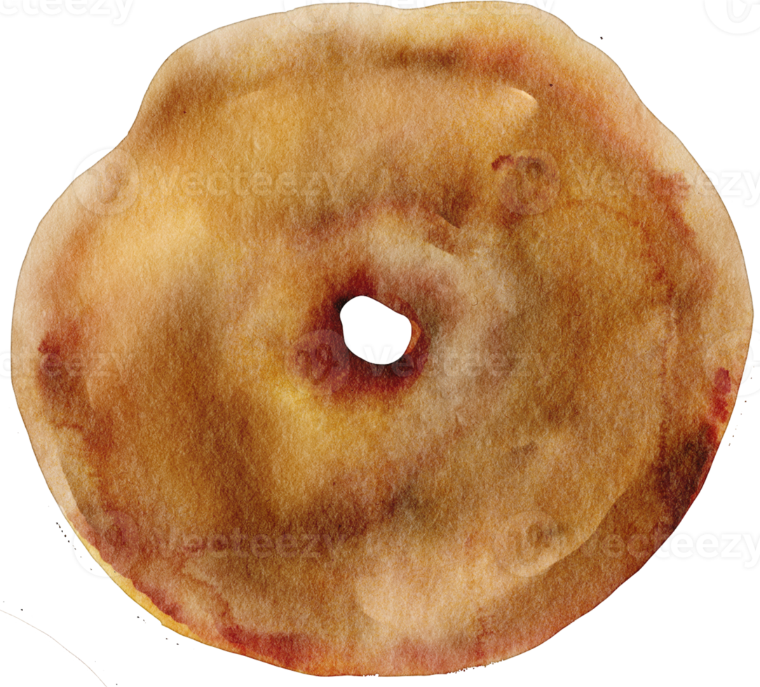 watercolor donut bagel png