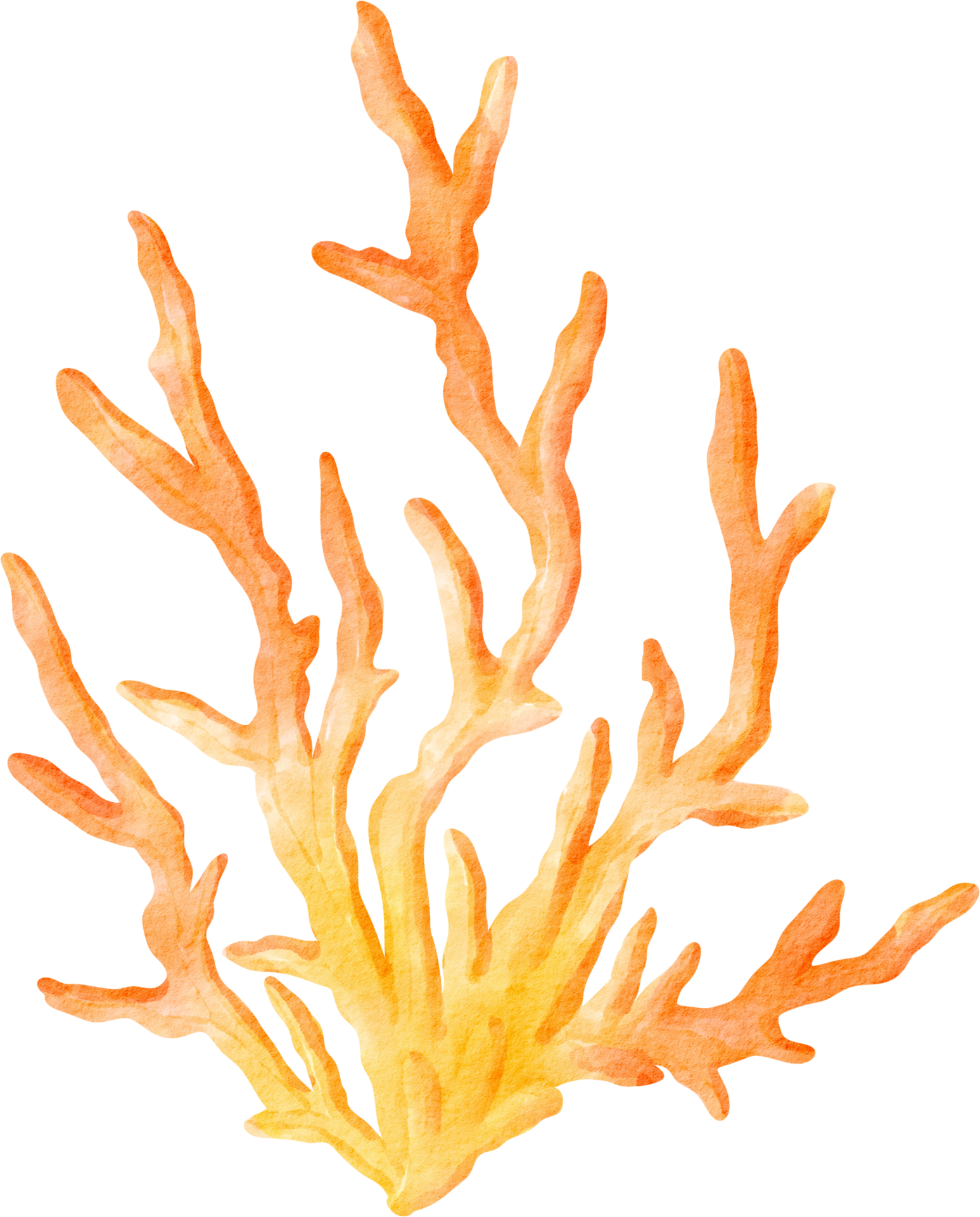 oceano-coral-aquarela-16548247-png