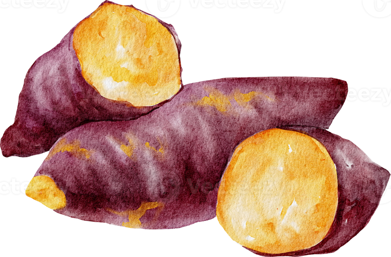 batata acuarela png