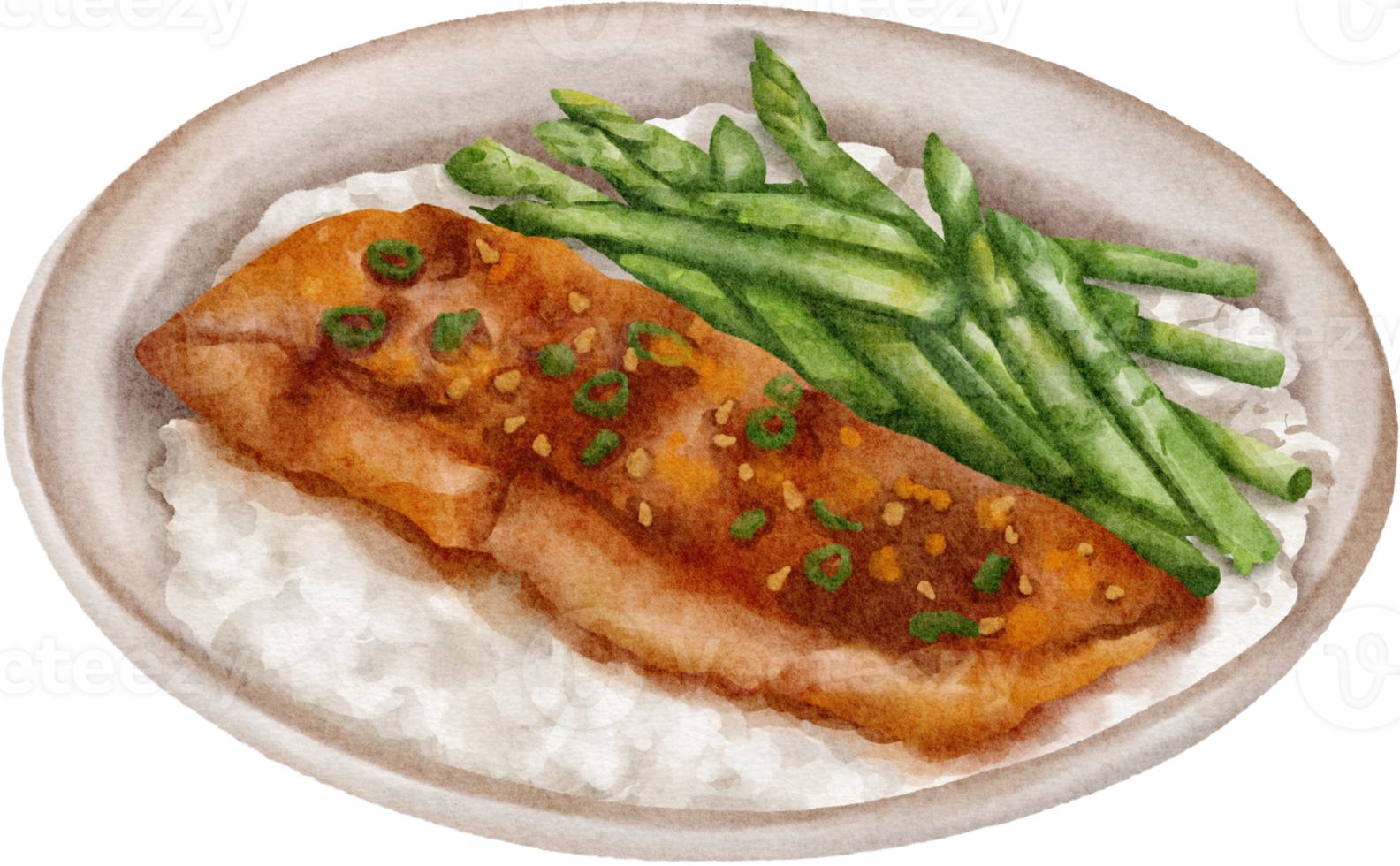 watercolor japanese food salmon png