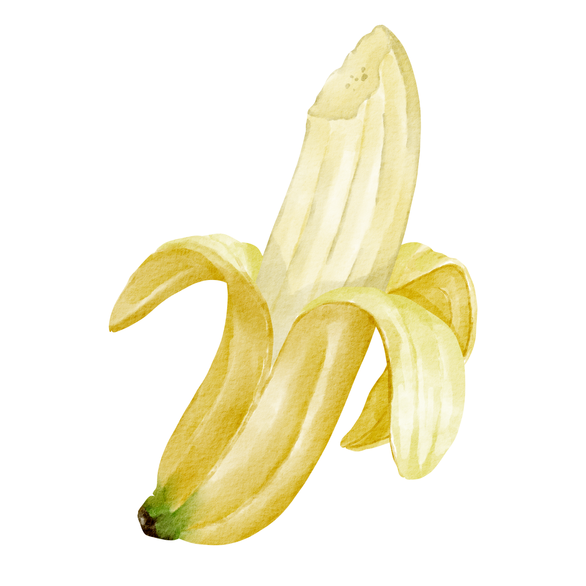 watercolor banana clip art element 16548275 PNG