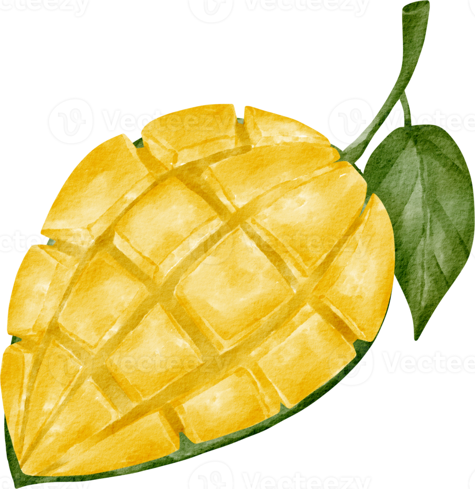 waterverf mango klem kunst png