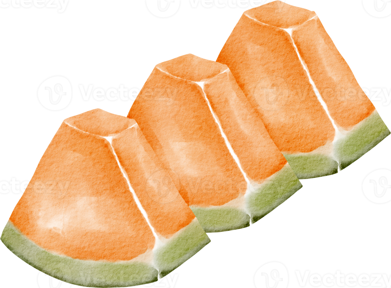 Aquarell Cantaloupe-ClipArt png