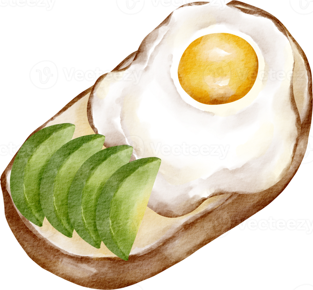 vattenfärg frukost friterad ägg png