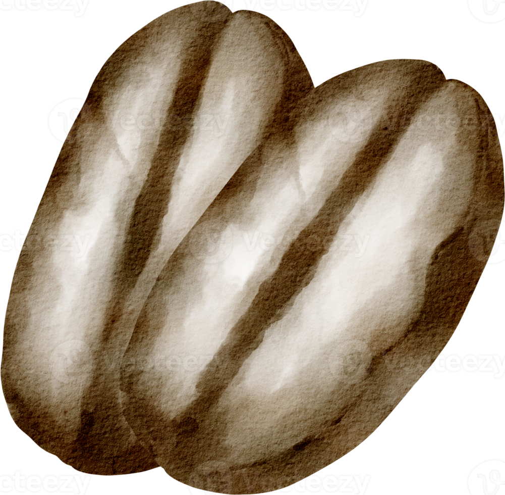 watercolor coffee bean png