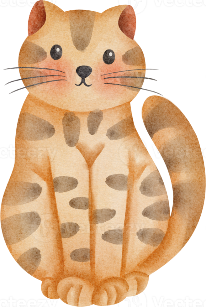 acquerello gatto arancia png