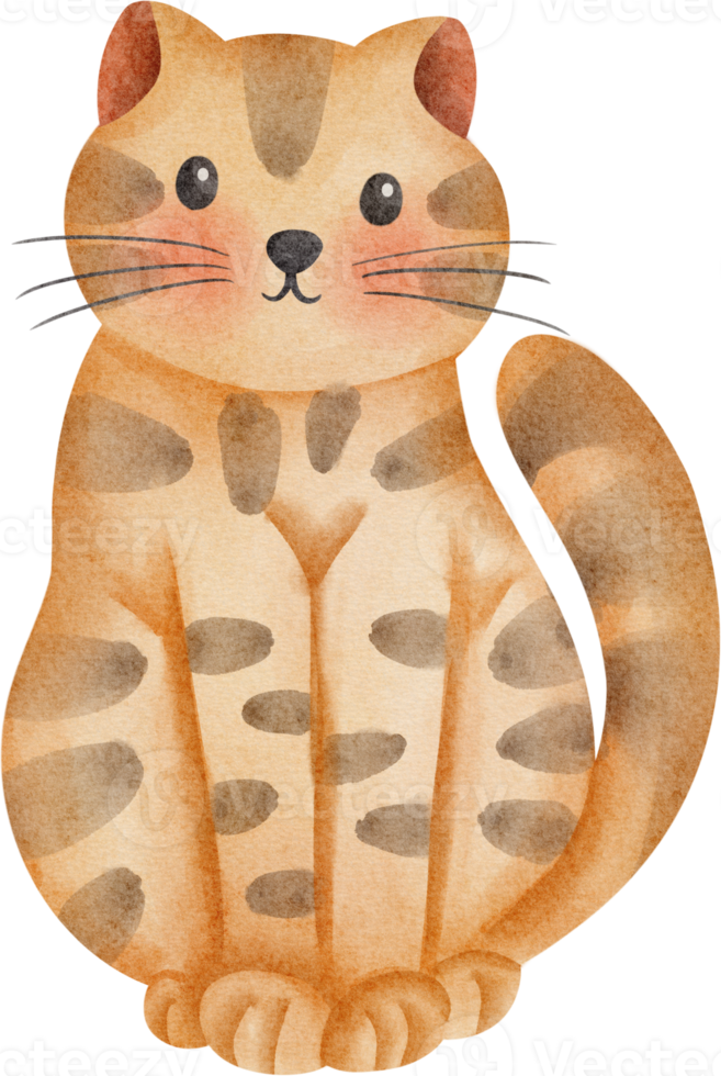 aquarelle chat orange png