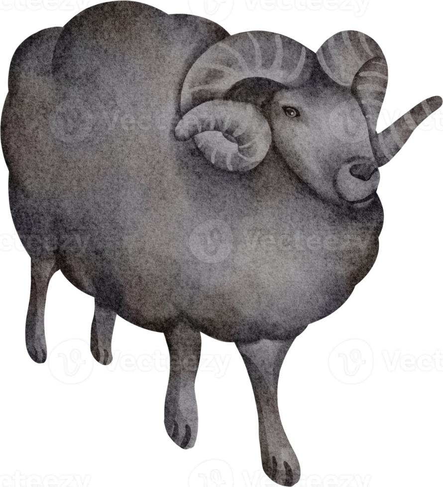 imágenes prediseñadas de ovejas acuarela png
