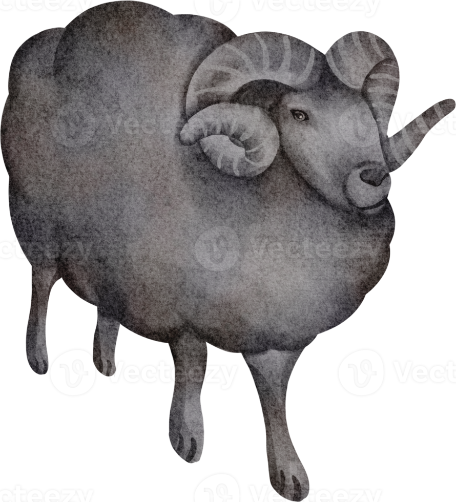 clipart de ovelha em aquarela png