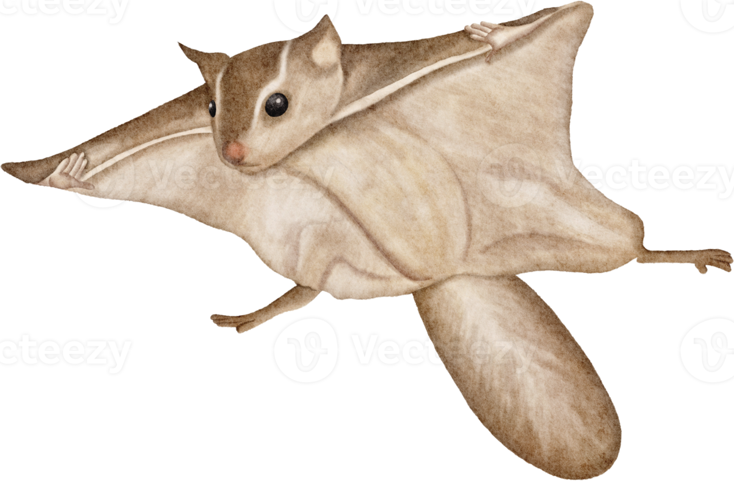 planeador del azúcar acuarela png