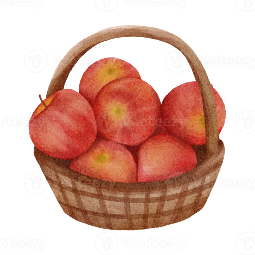 watercolor apples clip art png