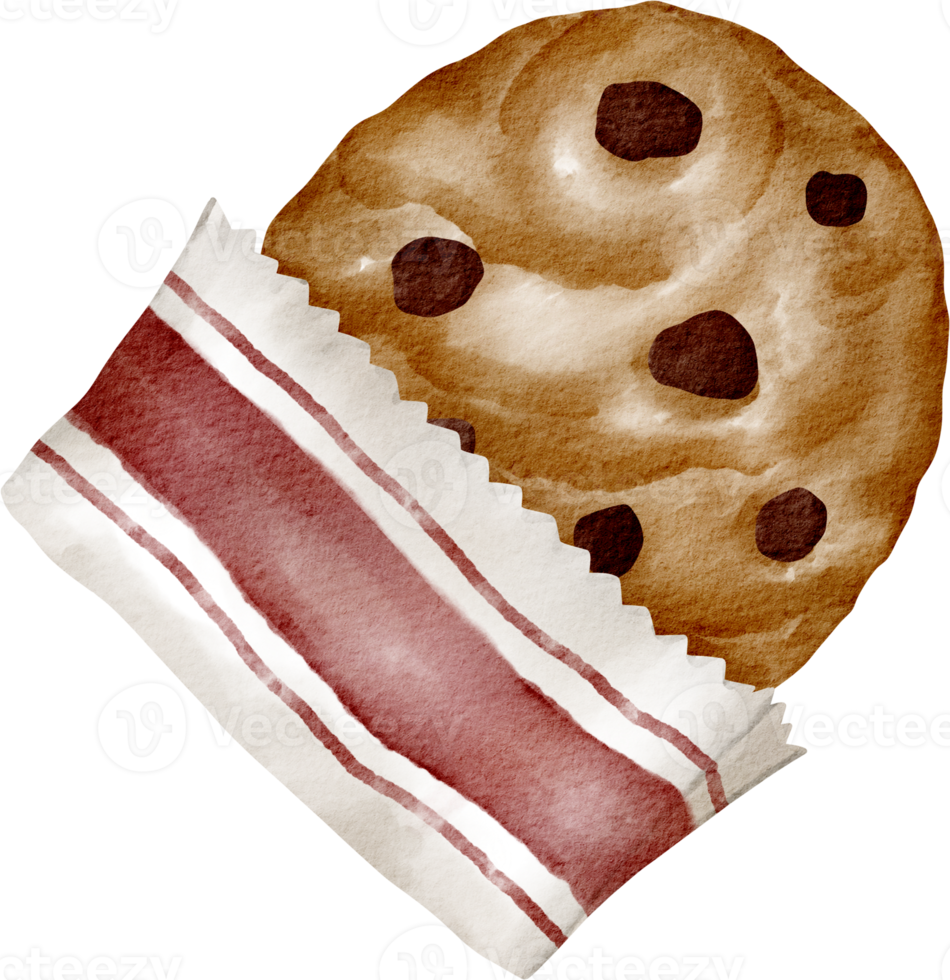 watercolor chocolate cookie png