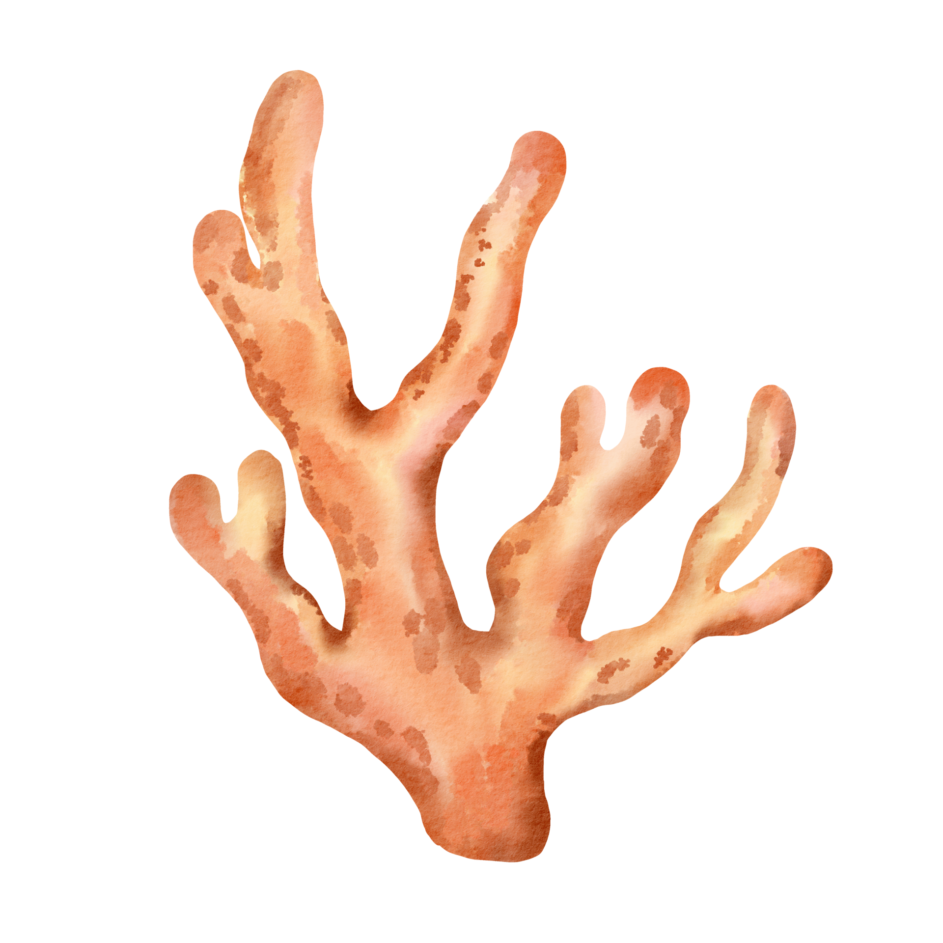 Fundo Coral Claro
