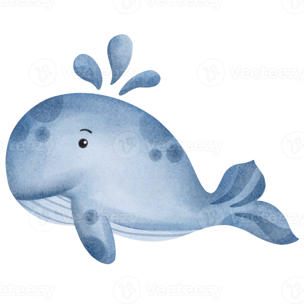 imágenes prediseñadas de ballena acuarela png