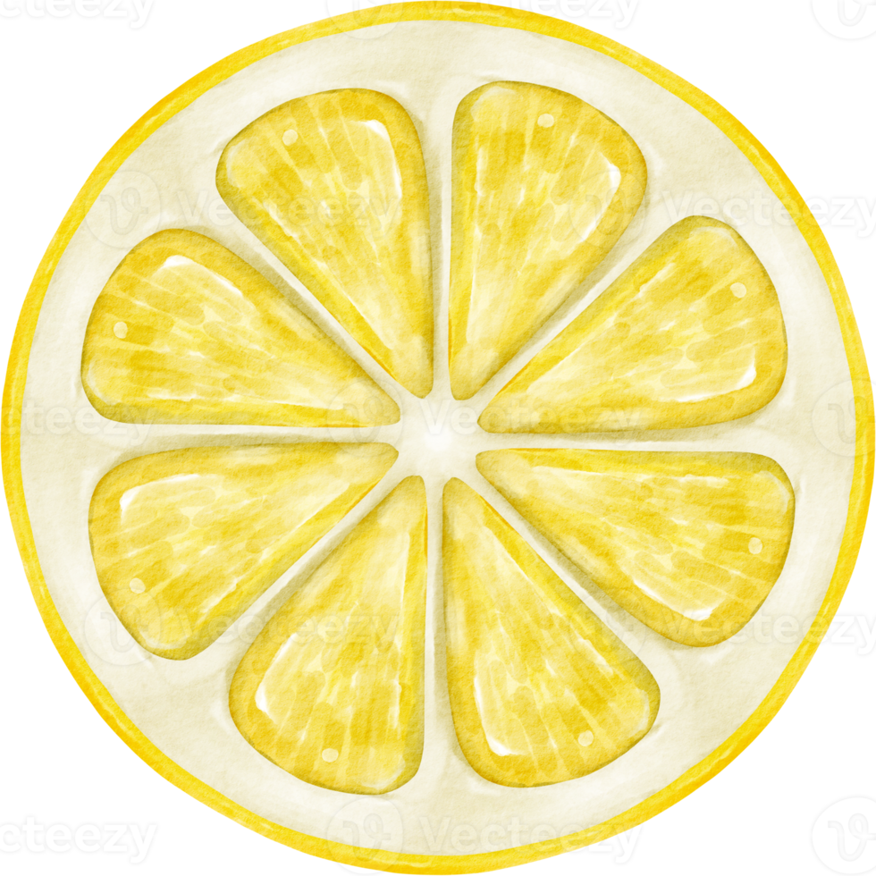 watercolor lemon clip art png