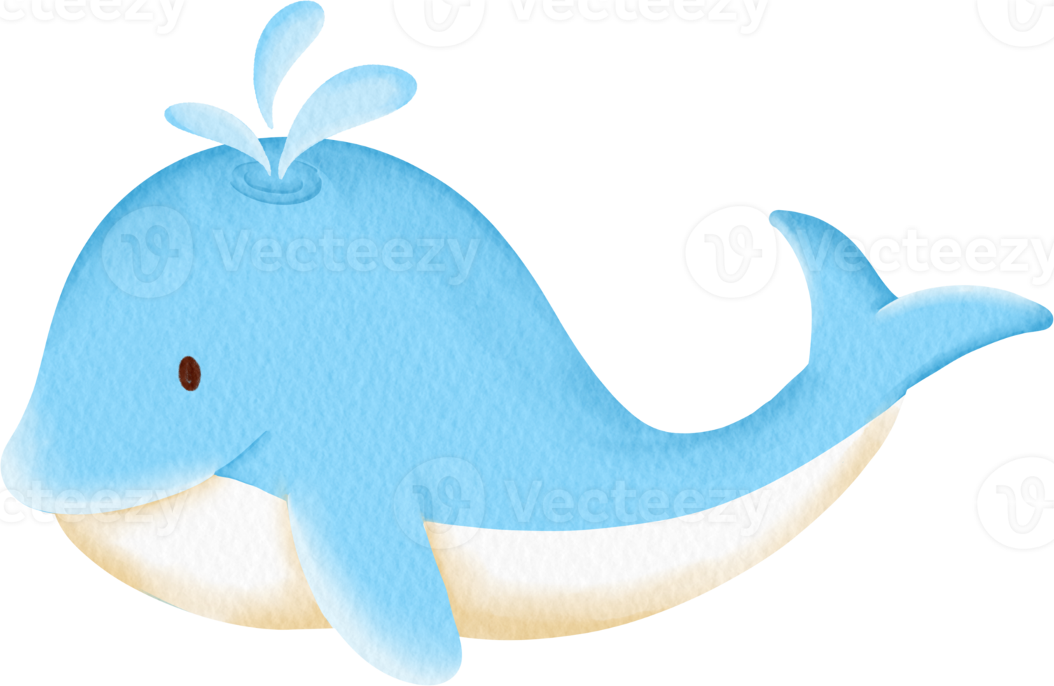 clipart baleine aquarelle png