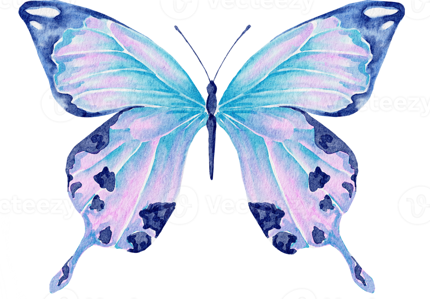 waterverf vlinder blauw png