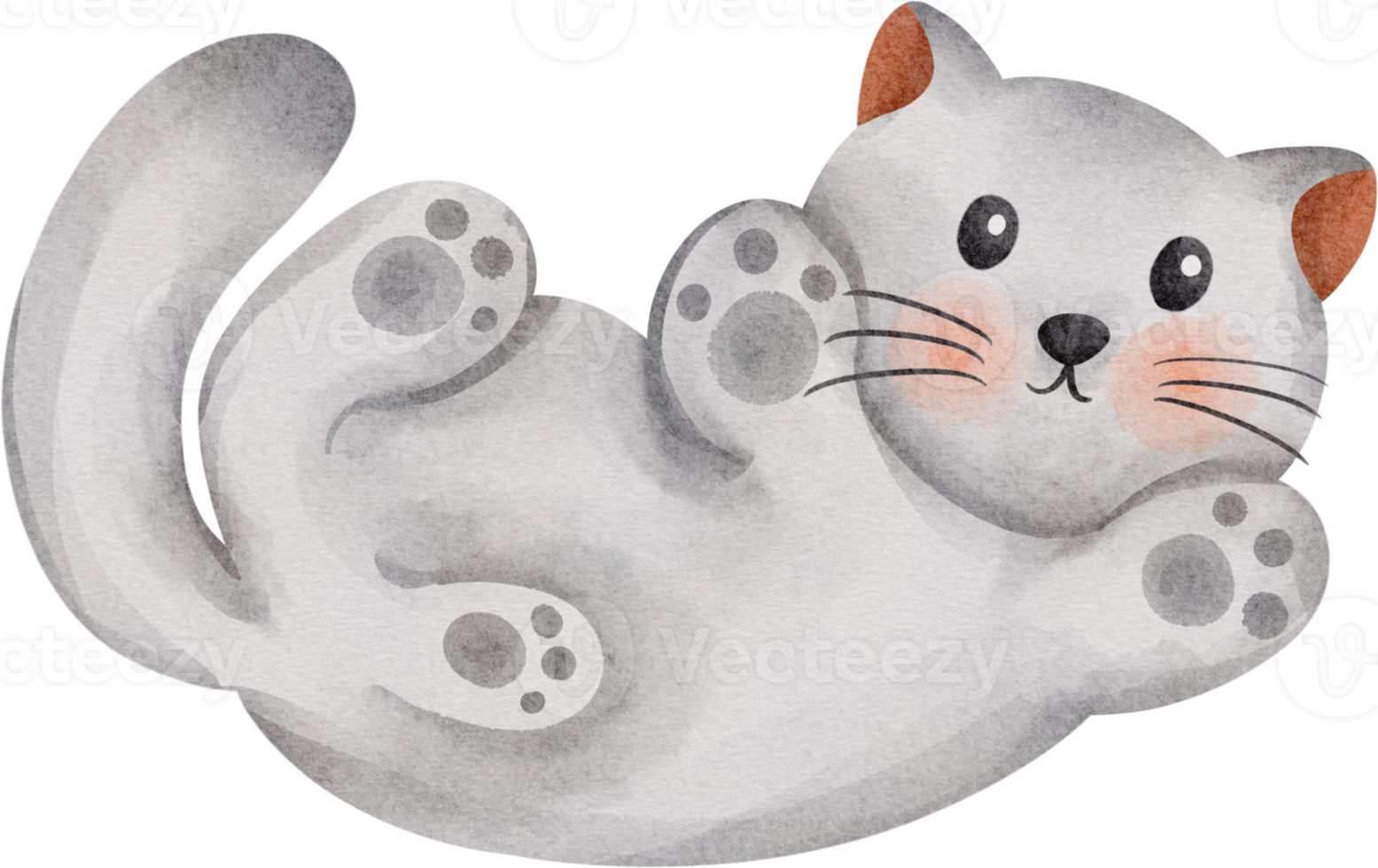 Aquarell Katze süß png