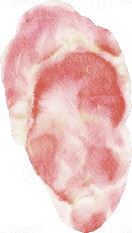watercolor steak meat png