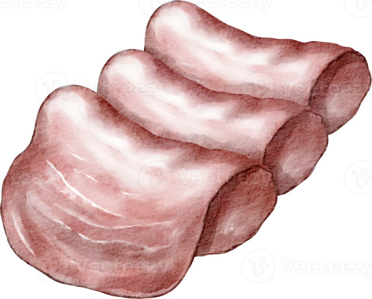 elemento de jamón acuarela png