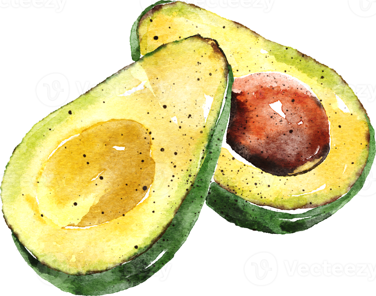 Avocado hand drawn watercolor painting png